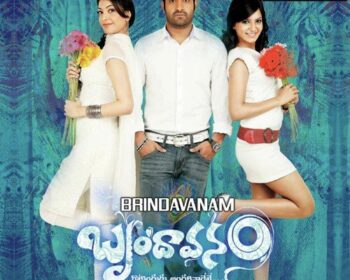 Brindavanam Naa Songs