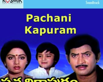 Pacchani Kapuram Songs