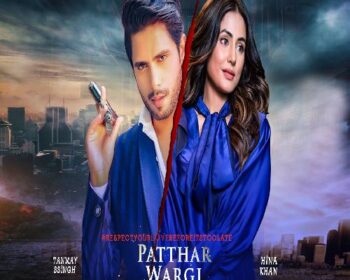 Patthar Wargi Song Download