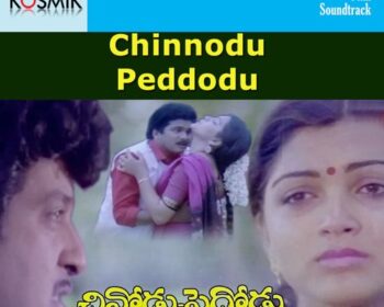 Chinnodu Pedhodu Songs