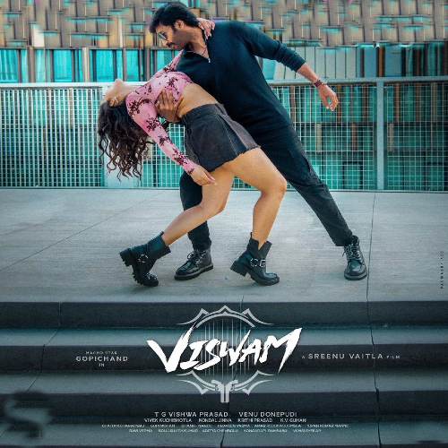 Viswam Naa Songs Download Gopi Chand Kavya Thappar Viswam Movie Songs