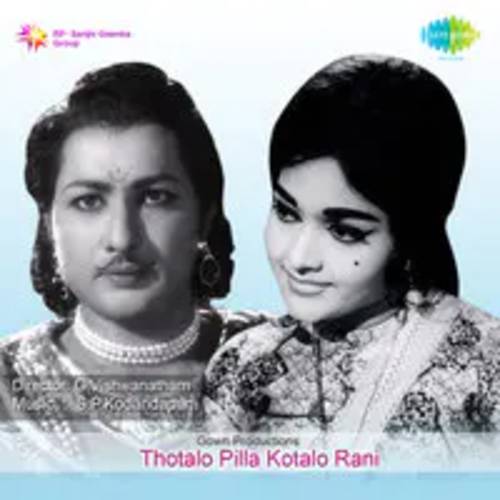 Thotalo Pilla Kotalo Rani Songs