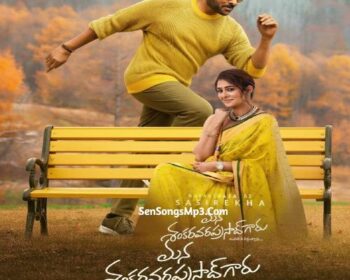Mana Shankara Varaprasad Garu Songs