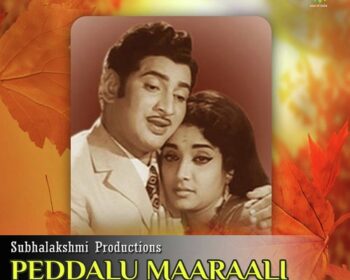 Peddalu Marali Movie Songs