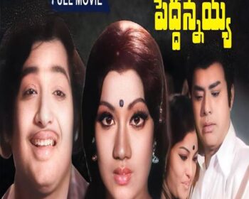 Peddannayya Songs