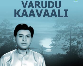 Varudu Kaavaali Songs