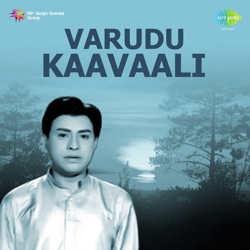 Varudu Kaavaali Songs