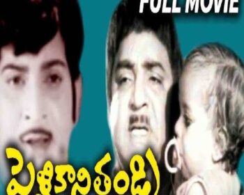 Pellikani Thandri Songs