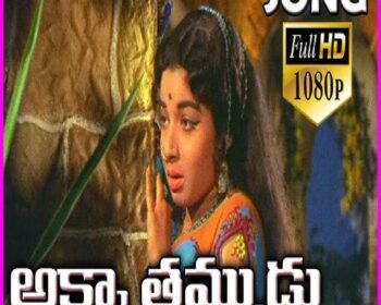 Akka Thammudu Songs