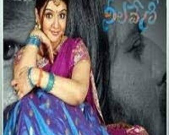 Neelaveni Naa Songs