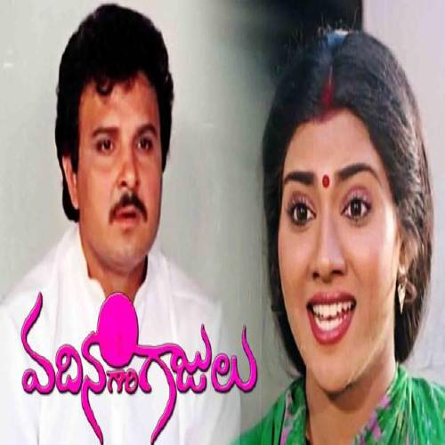Vadhina Gaari Gajulu Songs